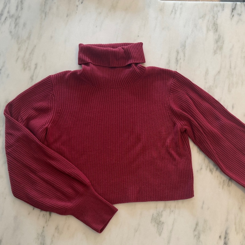 Aritzia Wilfred Ribbed Turtleneck Slim Knit Sweater S